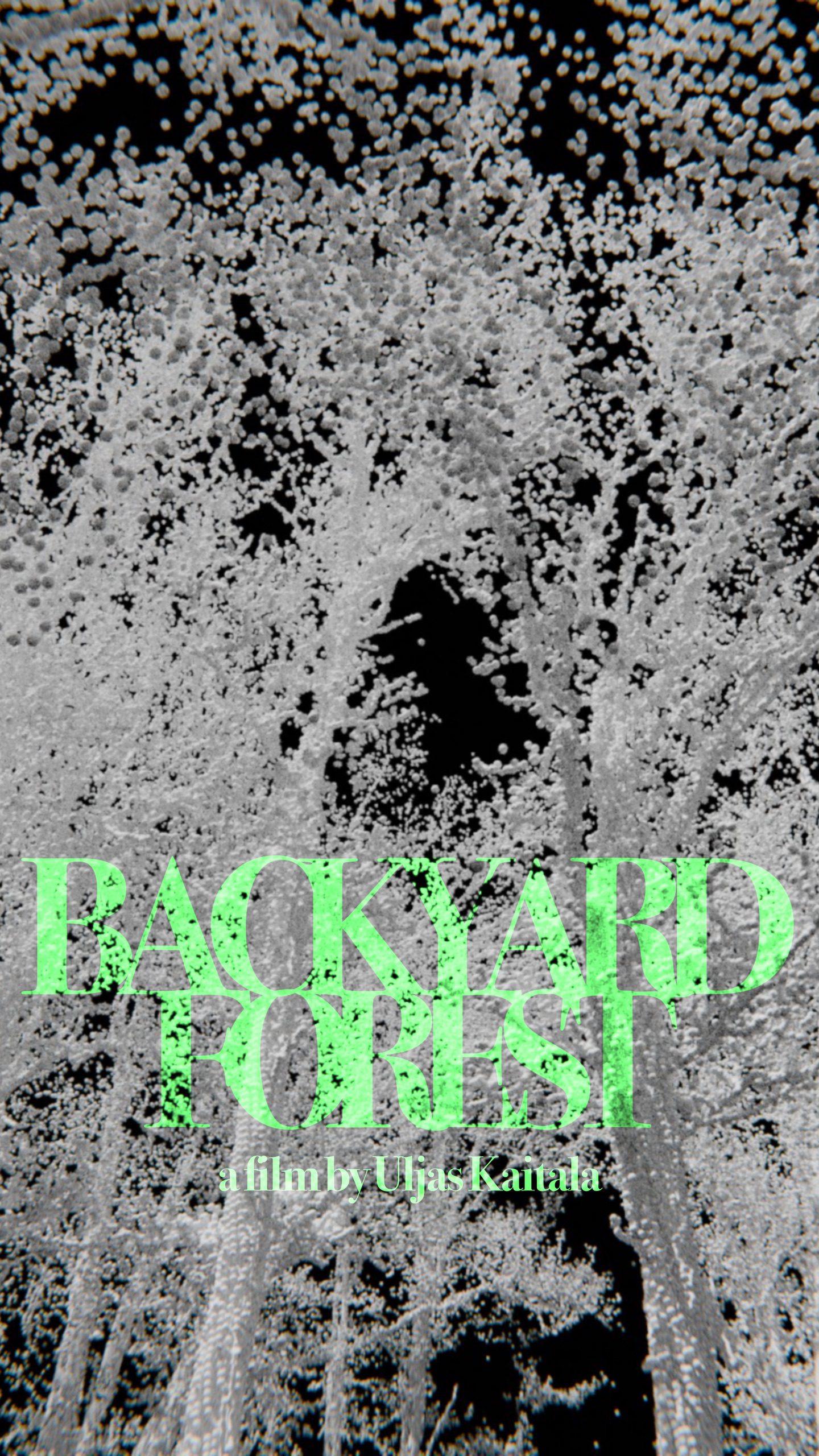 TAKAMETSÄ / BACKYARD FOREST