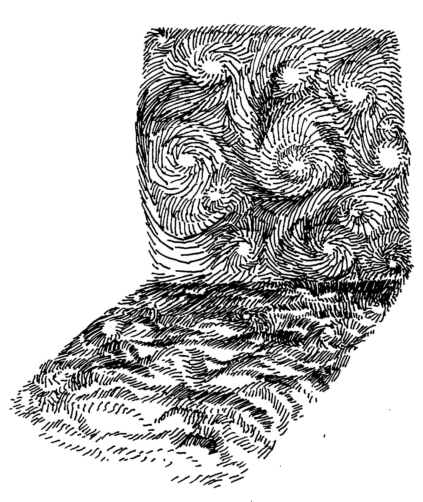 Cambridge festival notes – obsession over optimisation