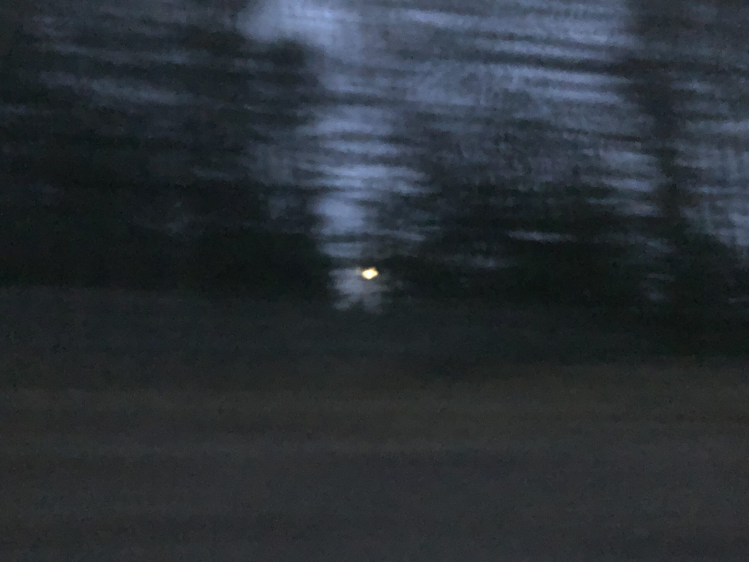 Why? The bird was here. – 04.DAY